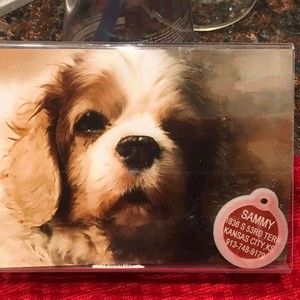 Meet your Posher, Marilyn